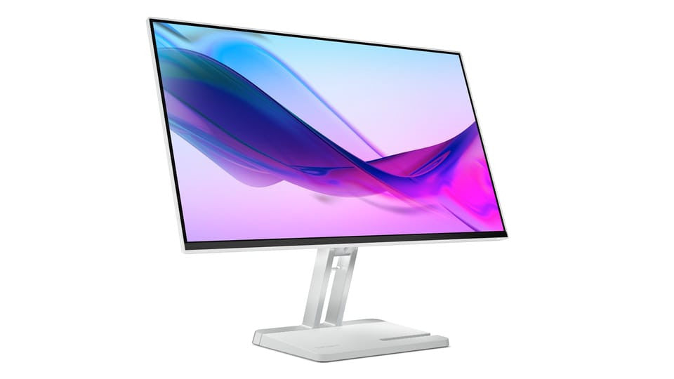 LENOVO Monitor L24I-4A 24" LED grey 67BCKAC6EU