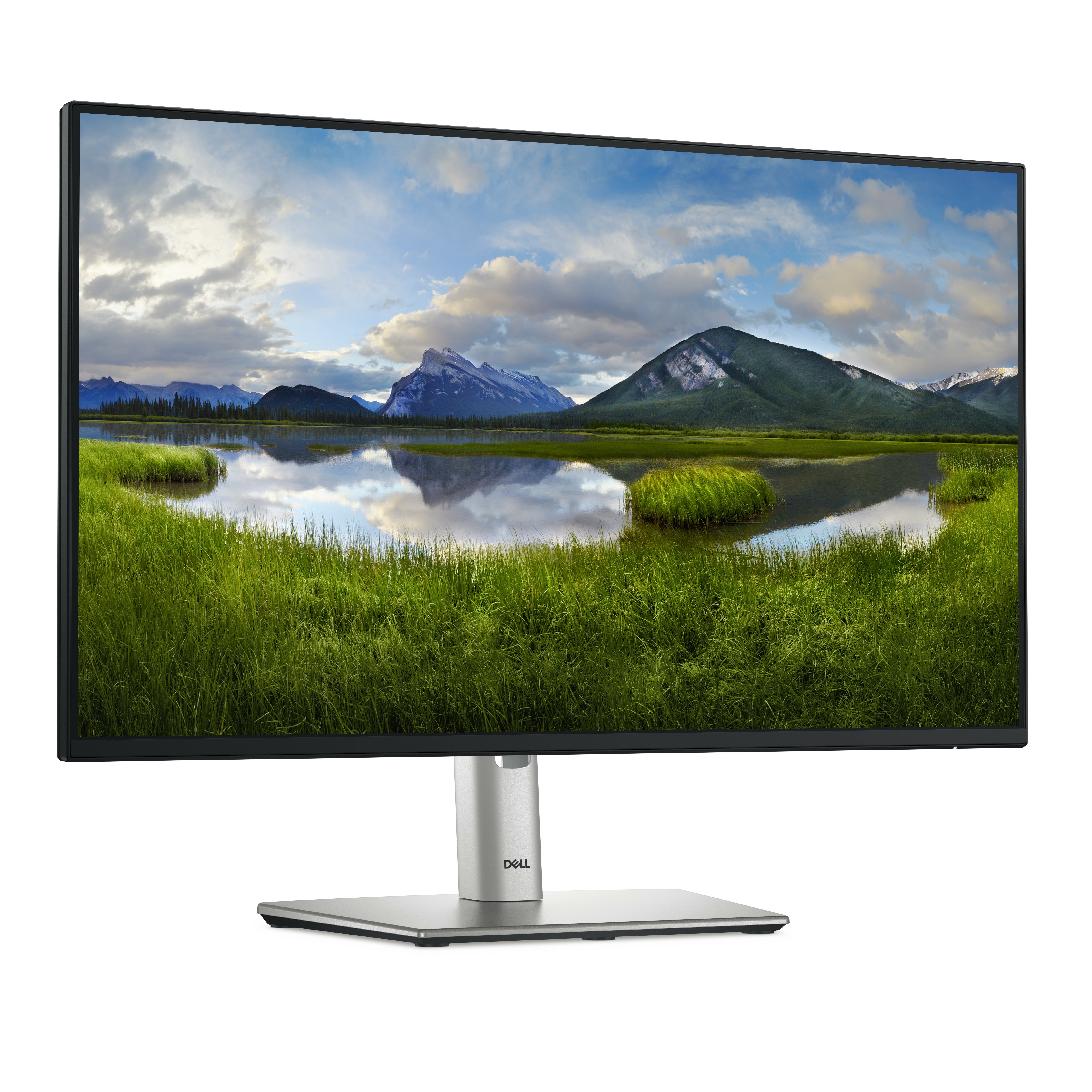P2425HE - 24 inch - Full HD IPS LED Monitor - 1920x1080 - Pivot / HAS / RJ45 / USB-C DELL-P2425HE