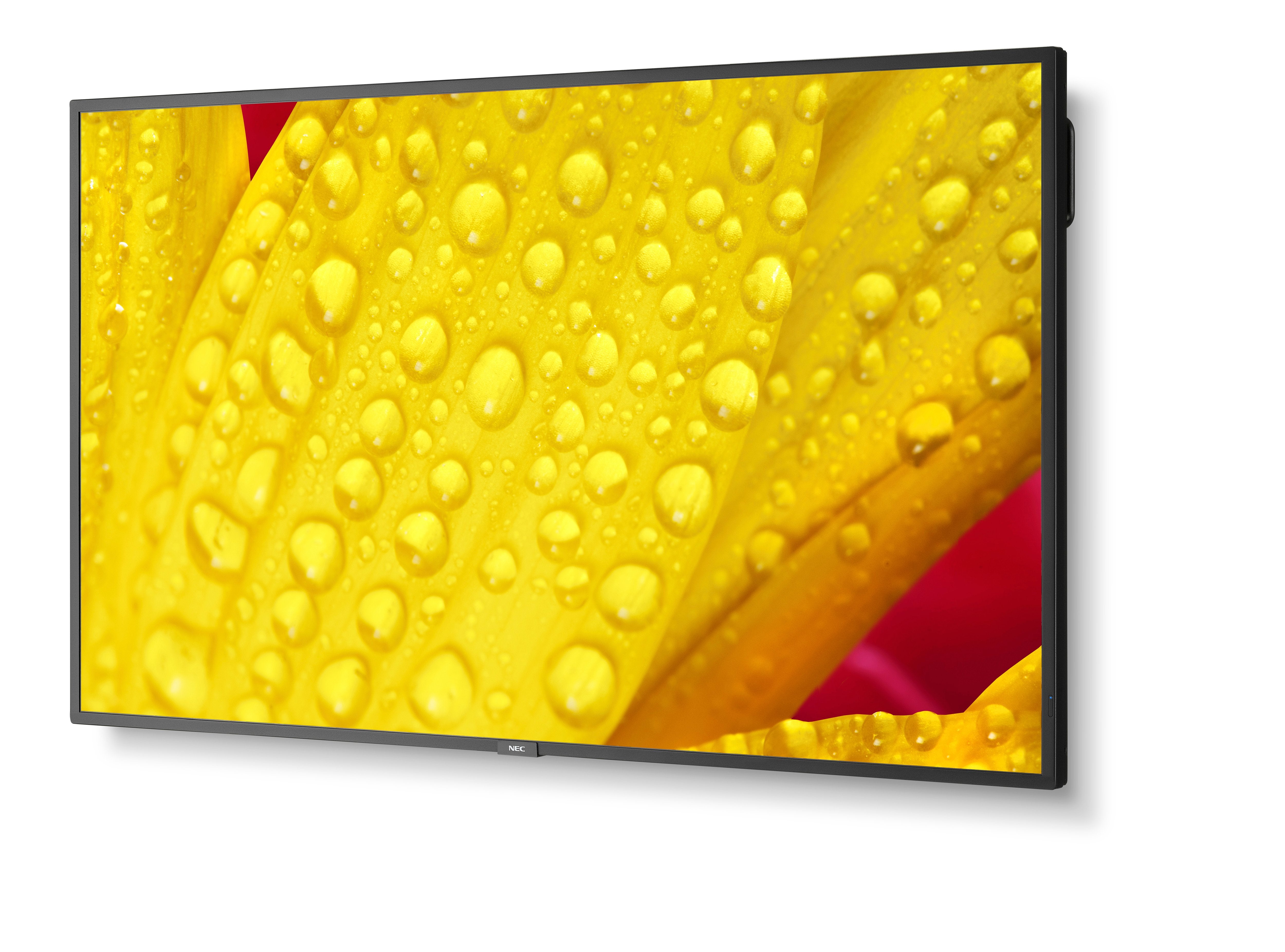 NEC MultiSync M551-2 55" 4K UHD Display Black