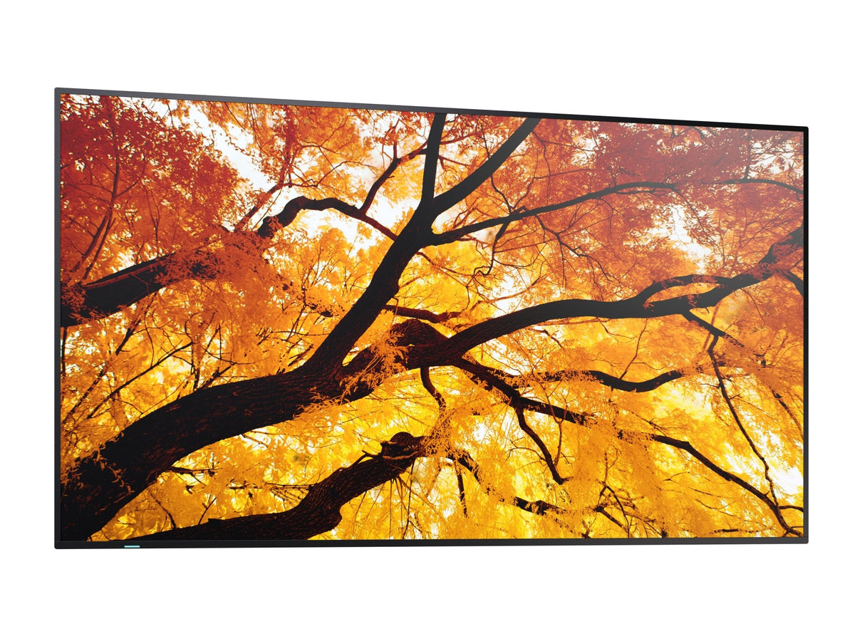 Sharp MultiSync M552 PN-M552 55-inch UHD 4K Display - Compridis